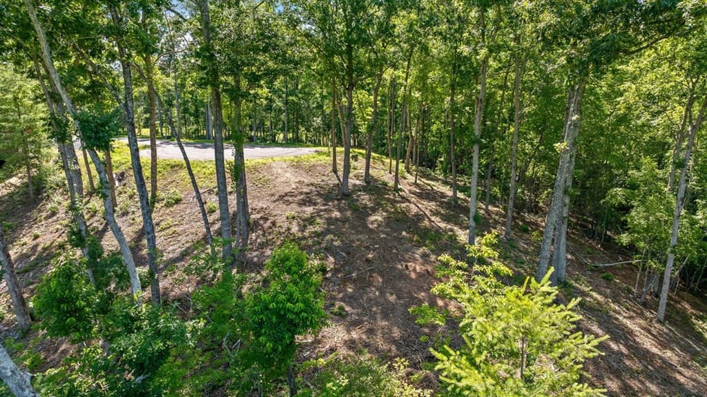 Lot 54 Hickory Lane, Mineral Bluff GA 30559 - Photo