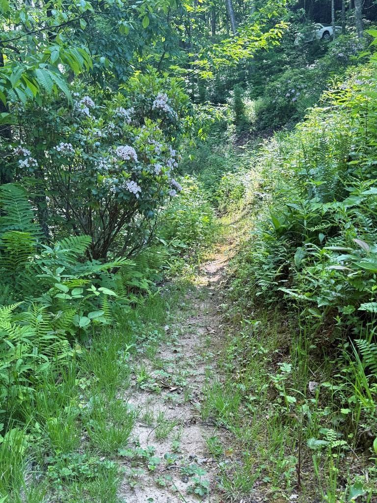 1096 Mount Tabor Road, Nantahala NC 28781 - Photo