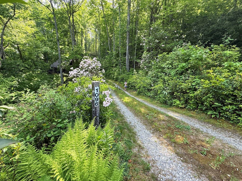 1096 Mount Tabor Road, Nantahala NC 28781 - Photo