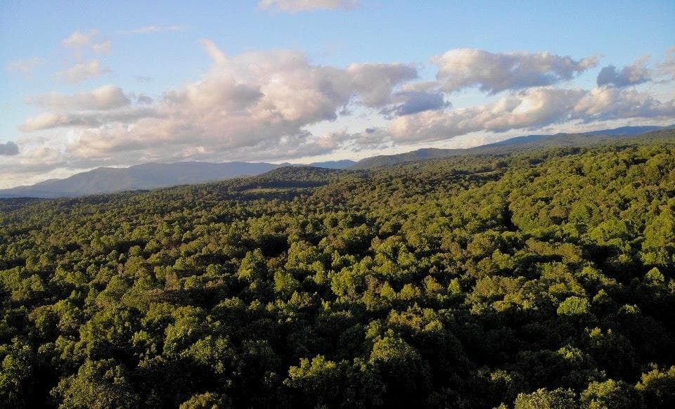 35 Black Bear Court, Ellijay GA 30536 - Photo