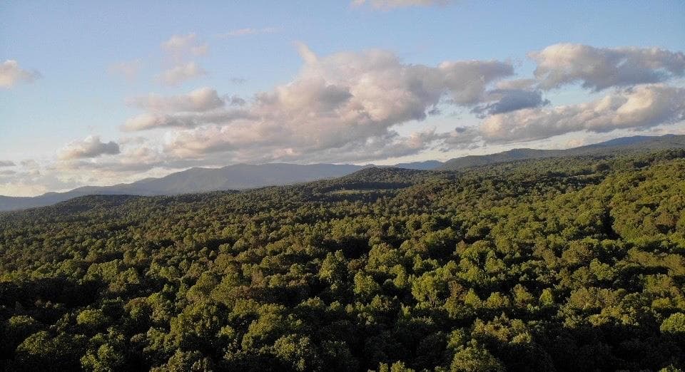 35 Black Bear Court, Ellijay GA 30536 - Photo