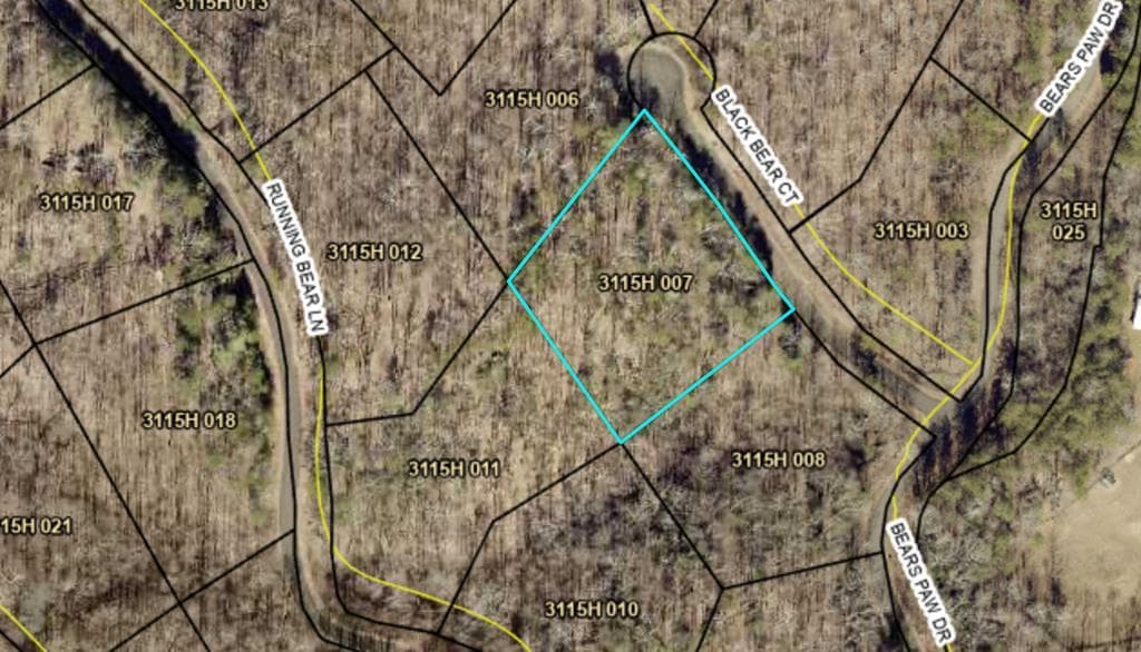 35 Black Bear Court, Ellijay GA 30536 - Photo