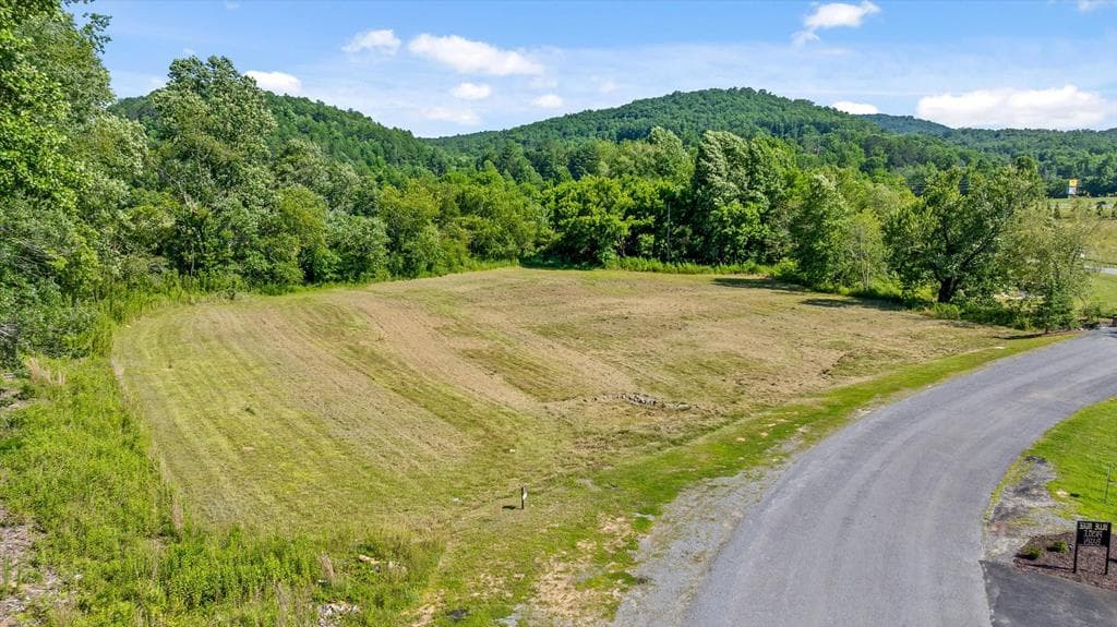 Lot 1 Ridge Dr, Morganton GA 30560 - Primary photo