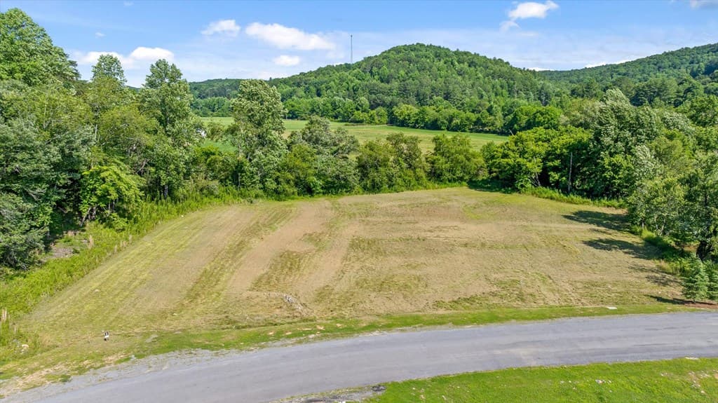 Lot 1 Ridge Dr, Morganton GA 30560 - Photo