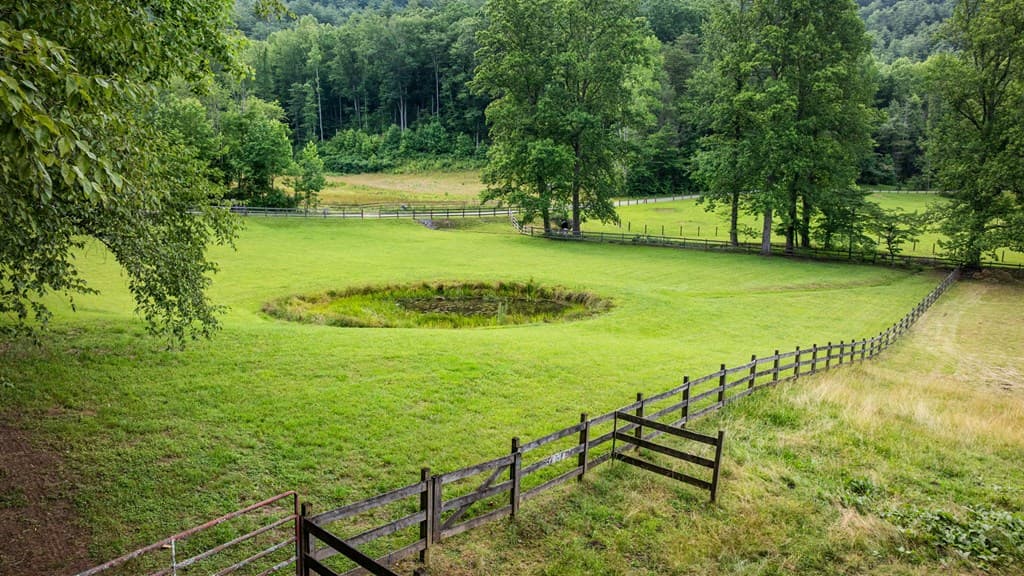 225 Cohutta Ranch Road, Blue Ridge GA 30513 - Photo