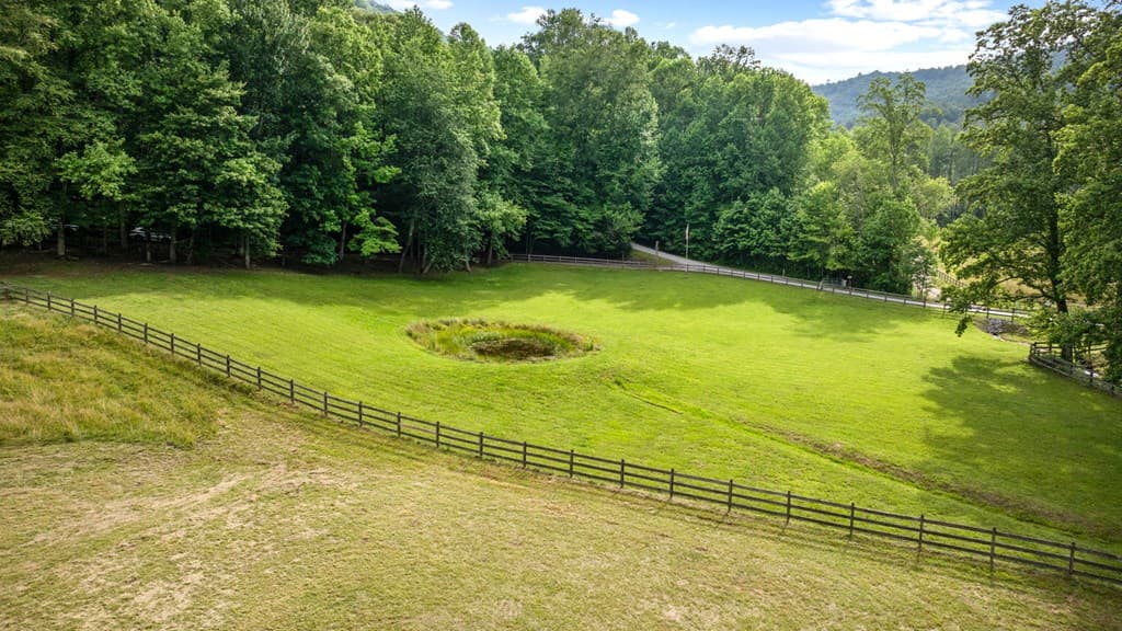 225 Cohutta Ranch Road, Blue Ridge GA 30513 - Photo