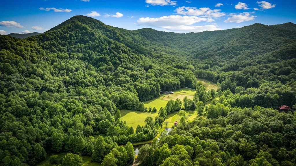 225 Cohutta Ranch Road, Blue Ridge GA 30513 - Photo