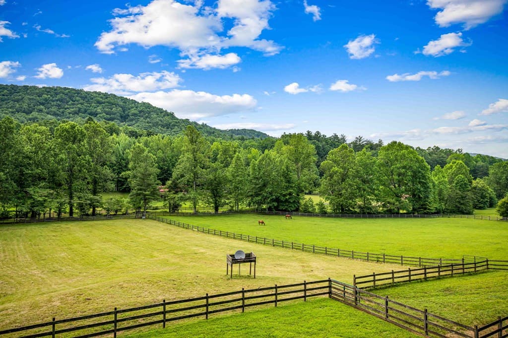 225 Cohutta Ranch Road, Blue Ridge GA 30513 - Photo