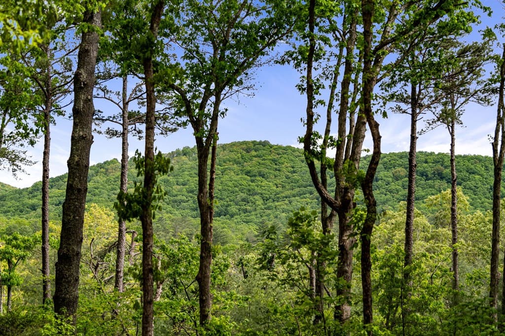 245 Old Anderson Creek, Ellijay GA 30536 - Photo