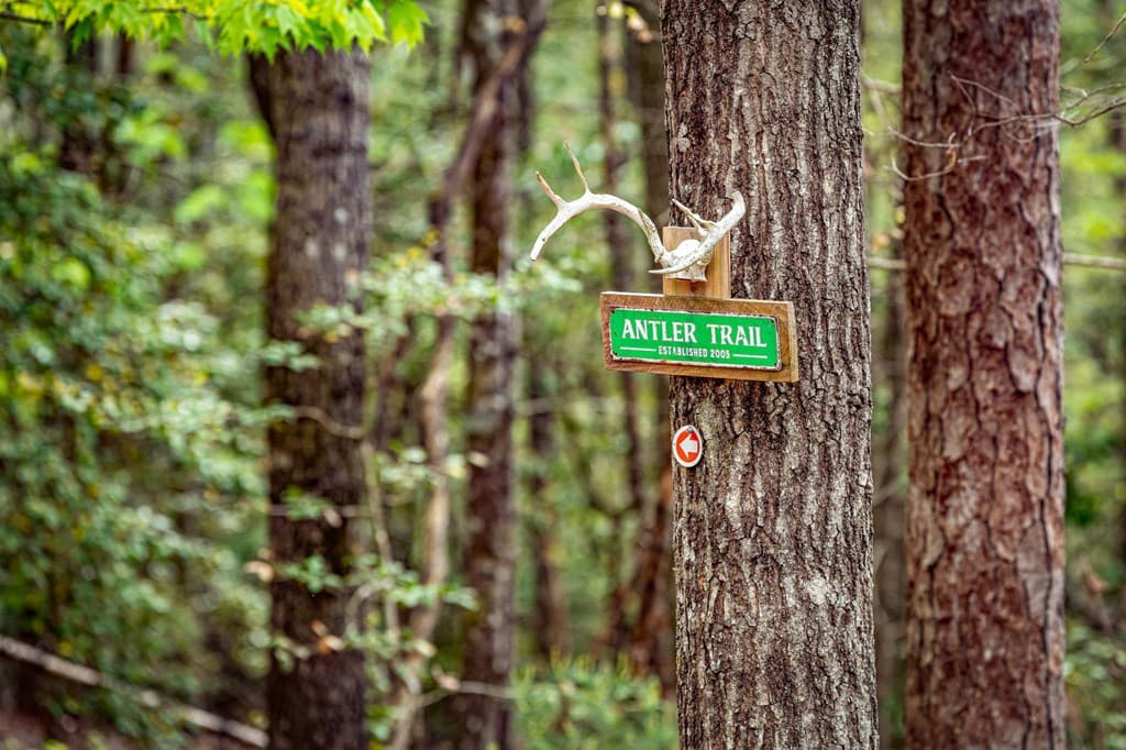 245 Old Anderson Creek, Ellijay GA 30536 - Photo