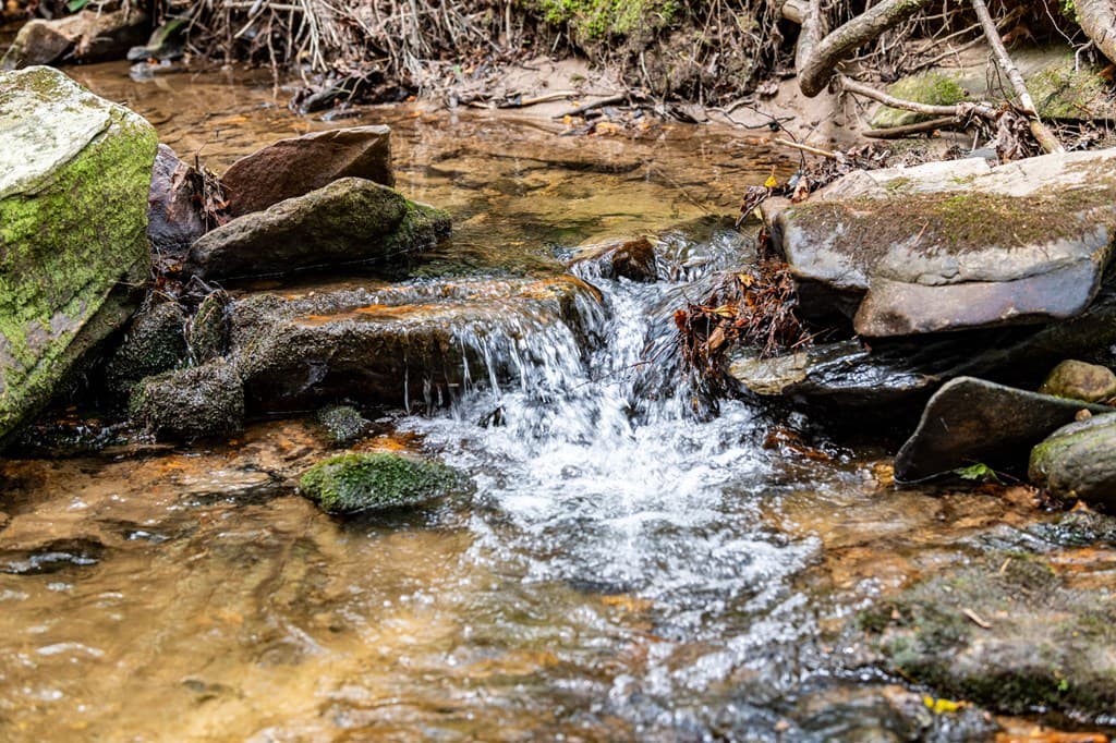 245 Old Anderson Creek, Ellijay GA 30536 - Photo