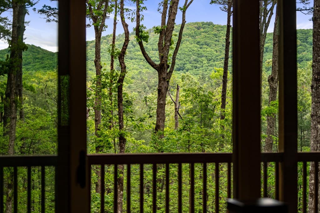 245 Old Anderson Creek, Ellijay GA 30536 - Photo