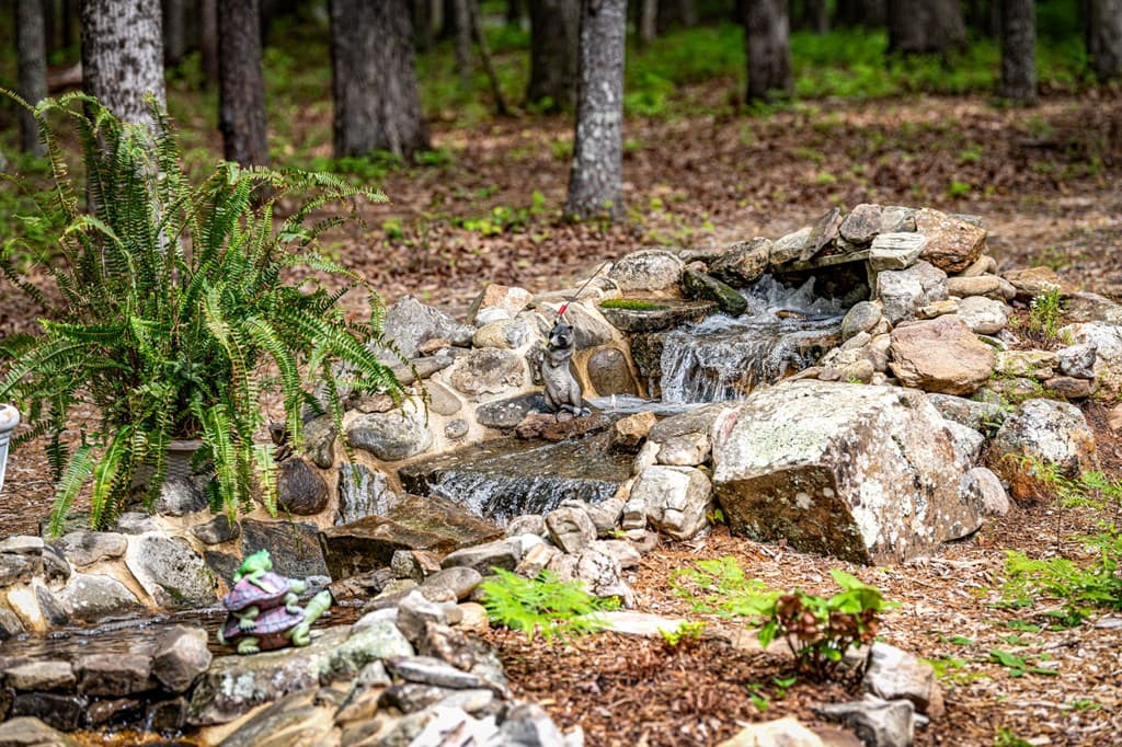 245 Old Anderson Creek, Ellijay GA 30536 - Photo