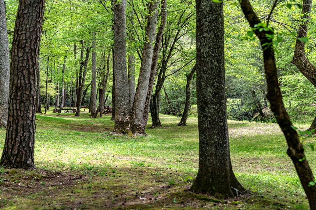 245 Old Anderson Creek, Ellijay GA 30536 - Photo
