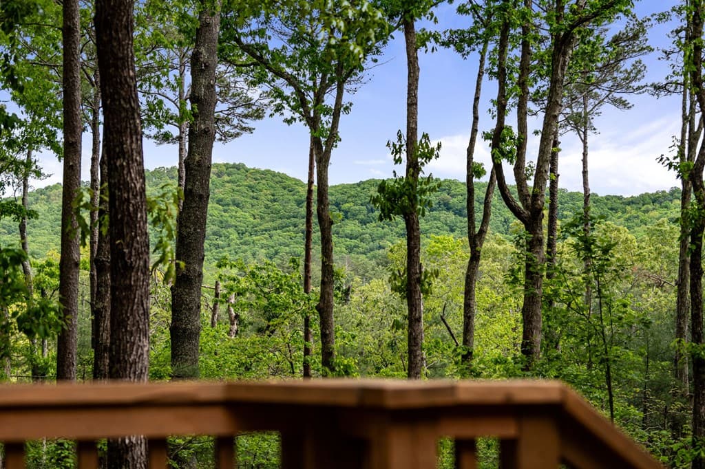 245 Old Anderson Creek, Ellijay GA 30536 - Photo