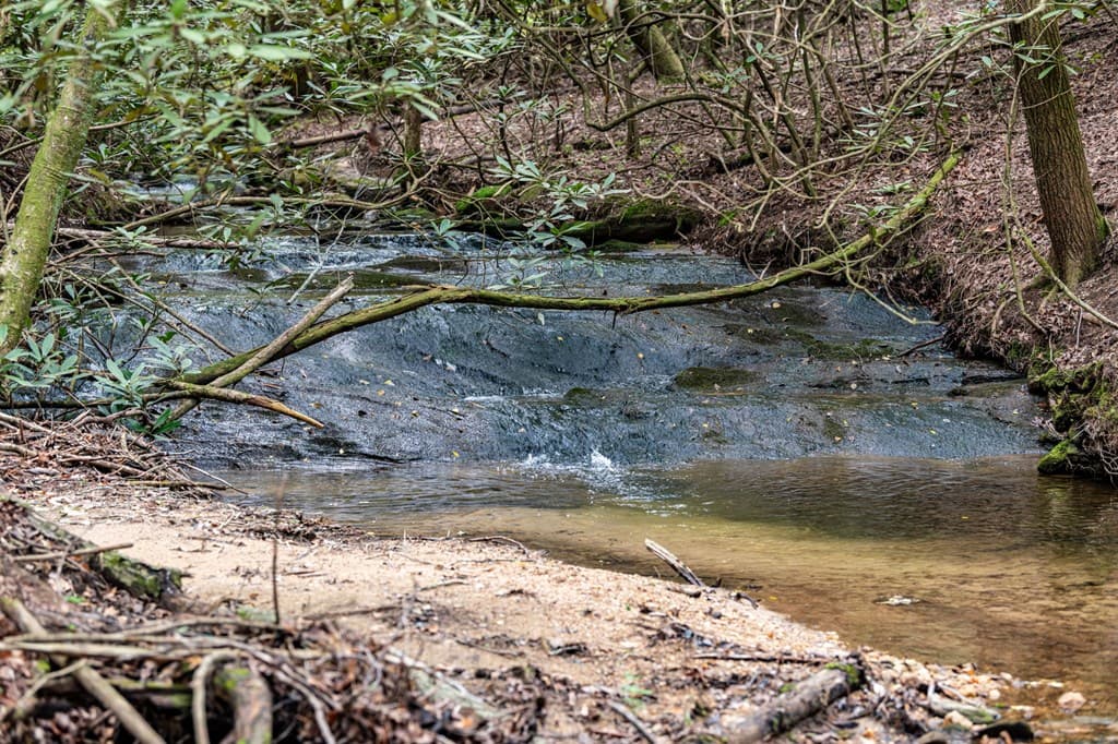 245 Old Anderson Creek, Ellijay GA 30536 - Photo