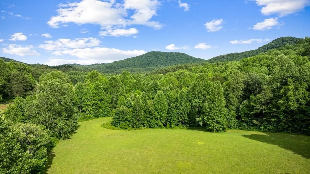 225 Cohutta Ranch Road, Blue Ridge GA 30513 - Primary photo