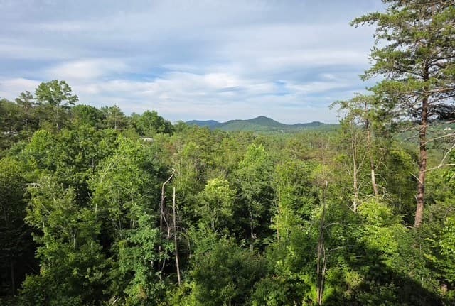 95 Ridgeline Lane, Mineral Bluff GA 30559 - Photo