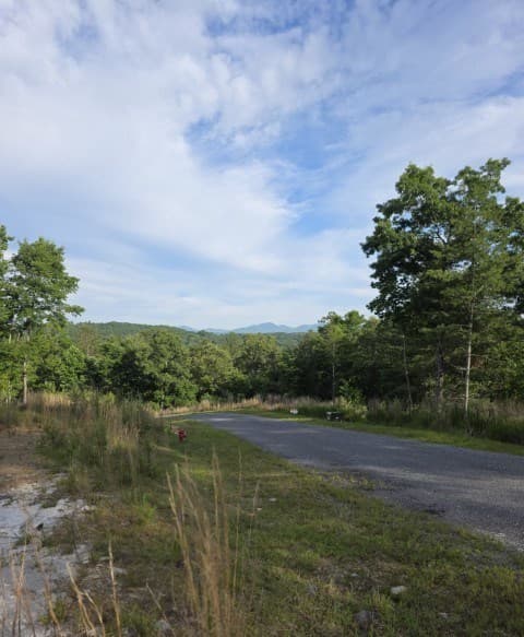 95 Ridgeline Lane, Mineral Bluff GA 30559 - Photo