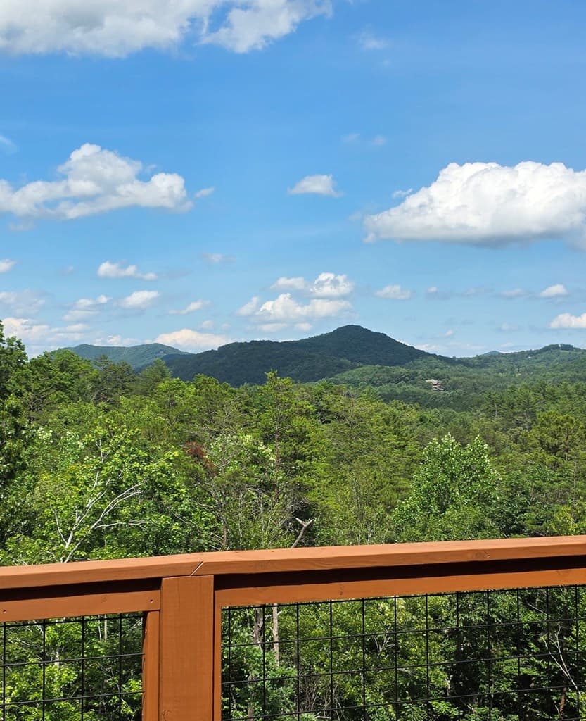95 Ridgeline Lane, Mineral Bluff GA 30559 - Photo