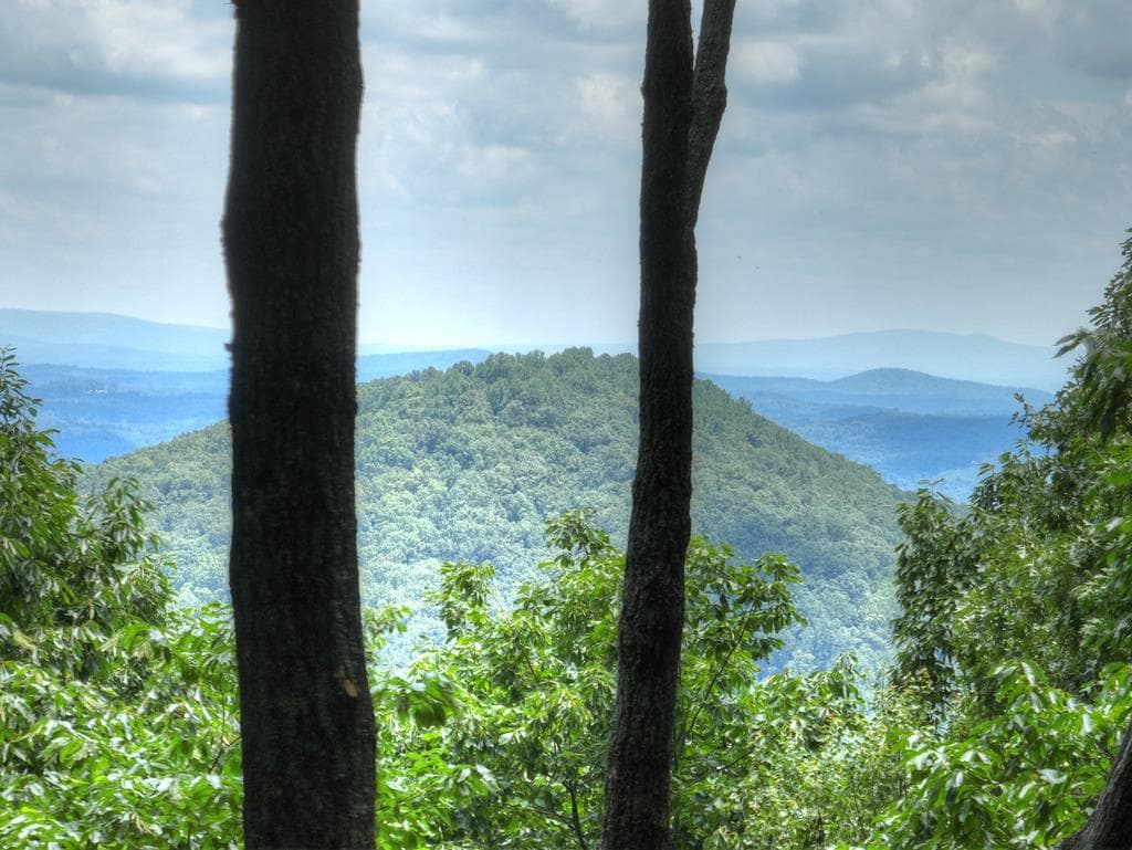 388 Walnut Ridge, Ellijay GA 30536 - Photo