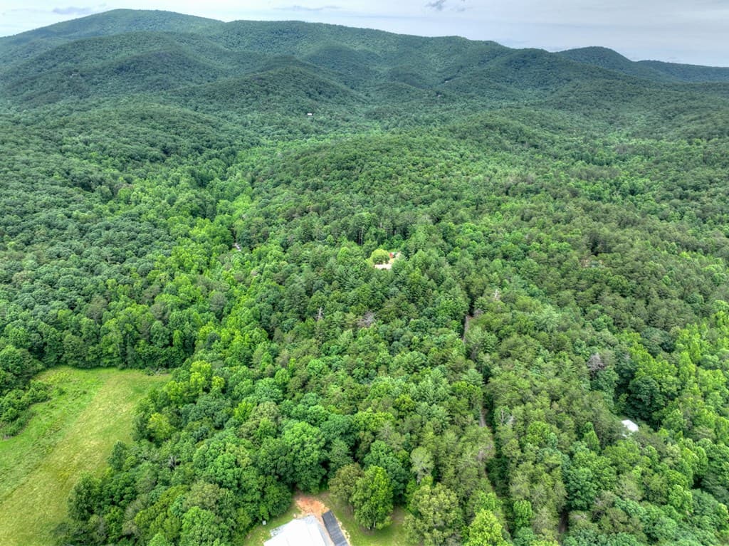 95 Laughing Bird Lane, Ellijay GA 30536 - Photo