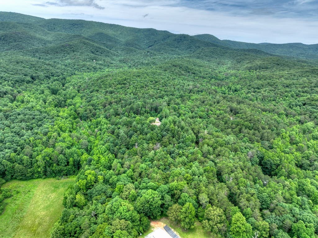 95 Laughing Bird Lane, Ellijay GA 30536 - Photo