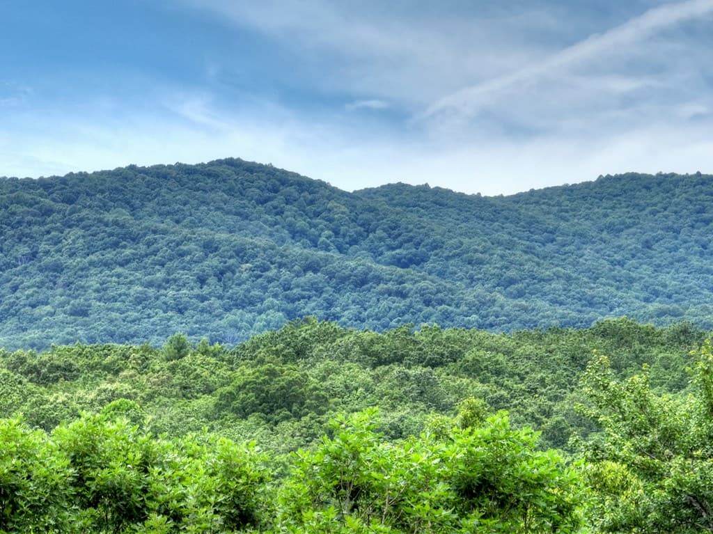 95 Laughing Bird Lane, Ellijay GA 30536 - Photo