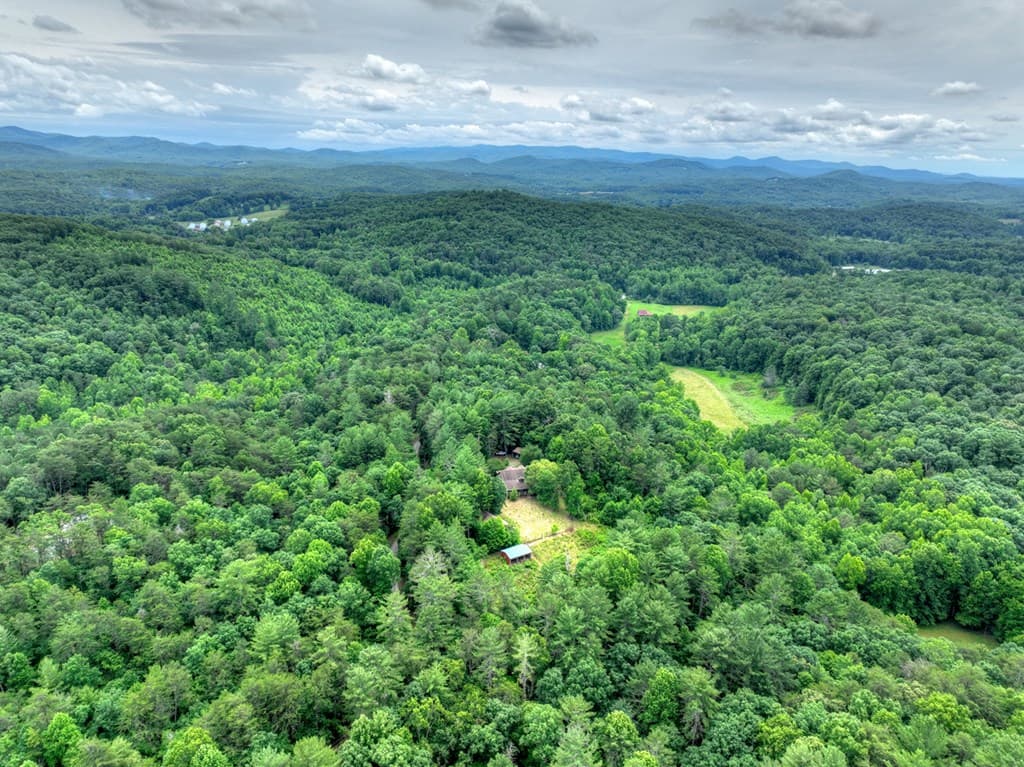95 Laughing Bird Lane, Ellijay GA 30536 - Photo