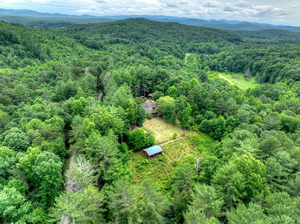 95 Laughing Bird Lane, Ellijay GA 30536 - Photo