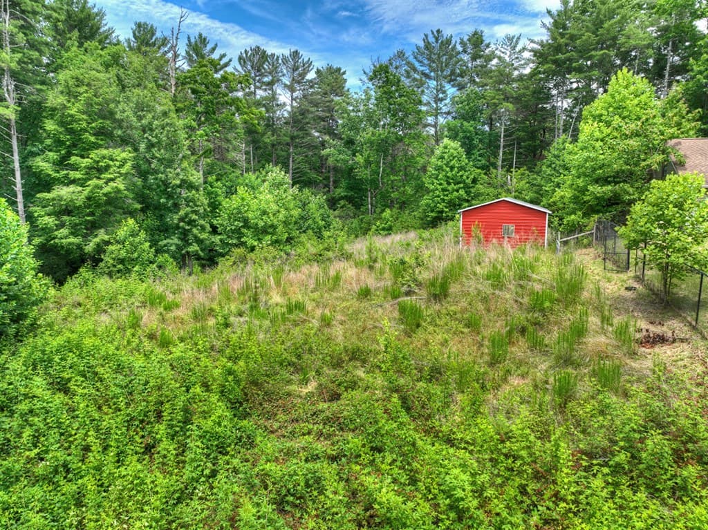 95 Laughing Bird Lane, Ellijay GA 30536 - Photo