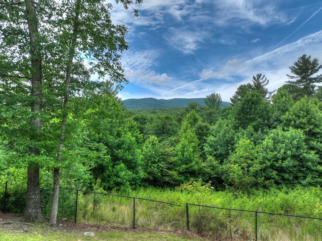 95 Laughing Bird Lane, Ellijay GA 30536 - Photo