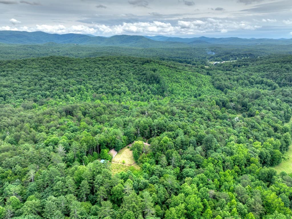 95 Laughing Bird Lane, Ellijay GA 30536 - Photo