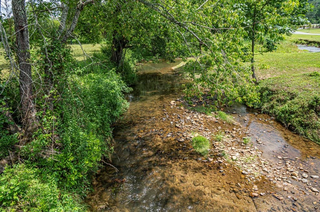 LT 151 The Ridges, Morganton GA 30560 - Photo