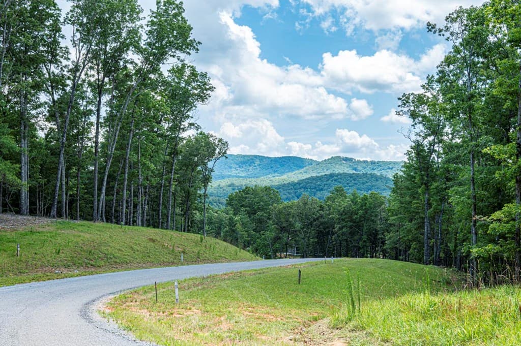 LT 151 The Ridges, Morganton GA 30560 - Photo