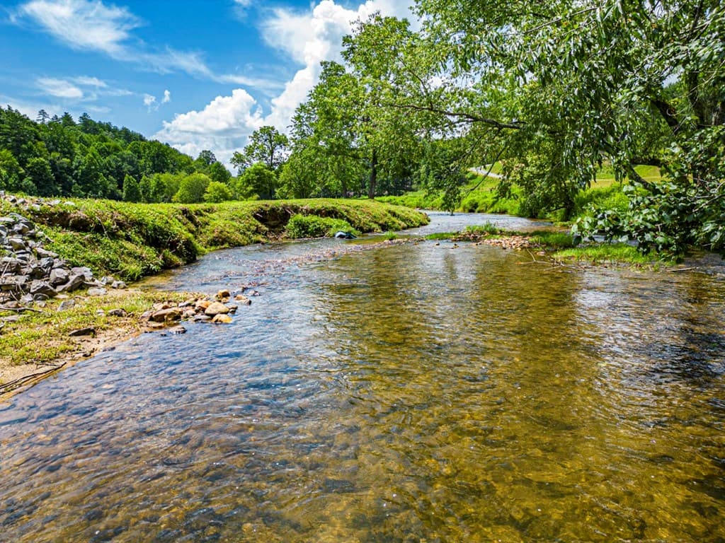 LT 151 The Ridges, Morganton GA 30560 - Photo