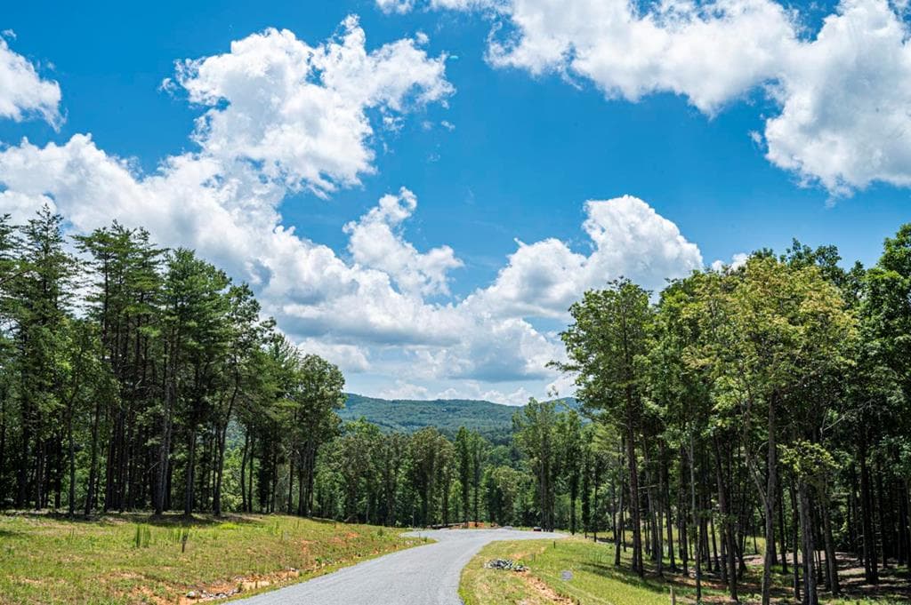 LT 151 The Ridges, Morganton GA 30560 - Primary photo