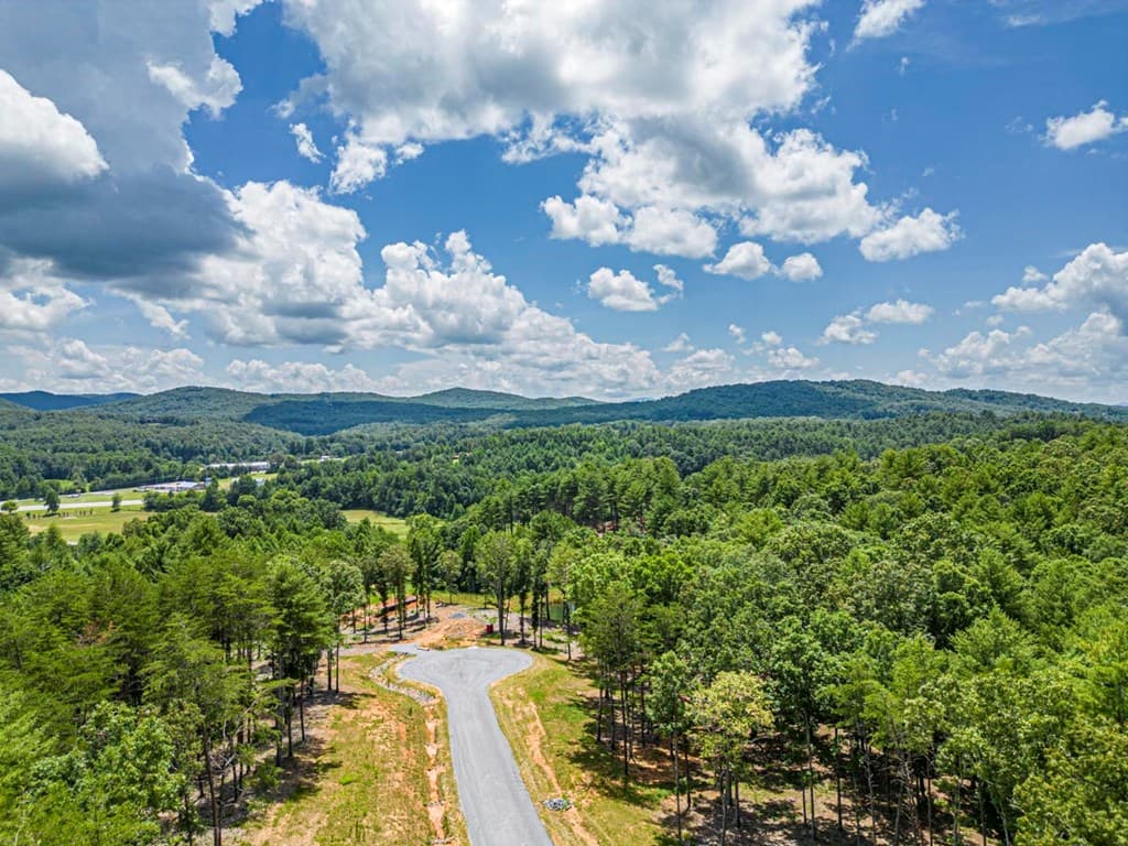 LT 151 The Ridges, Morganton GA 30560 - Photo