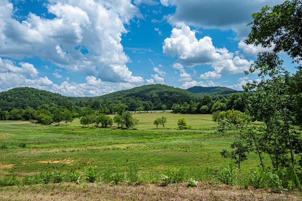 LT 151 The Ridges, Morganton GA 30560 - Photo