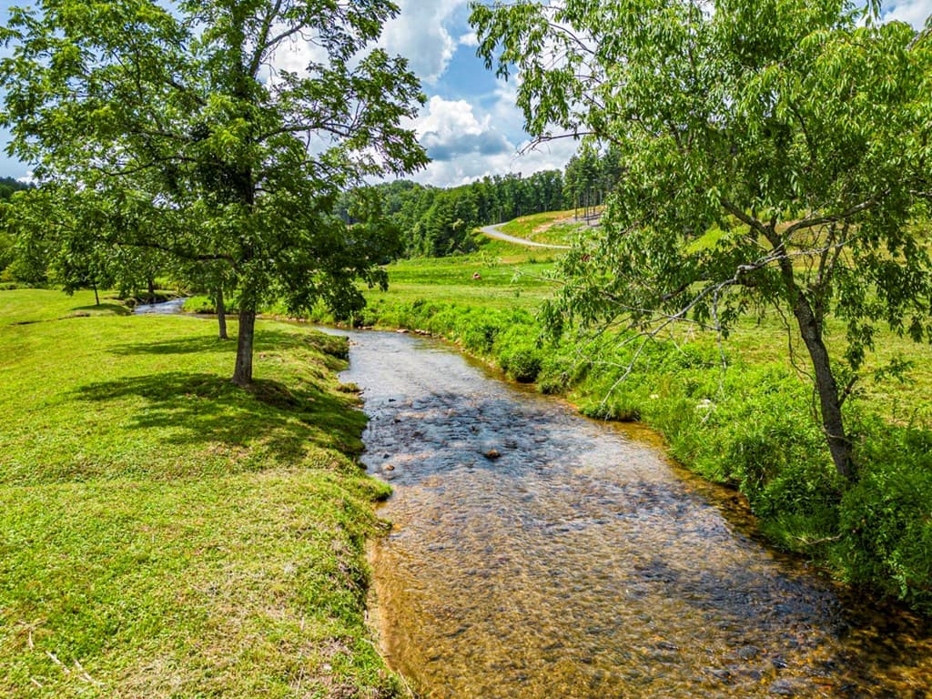 LT 151 The Ridges, Morganton GA 30560 - Photo