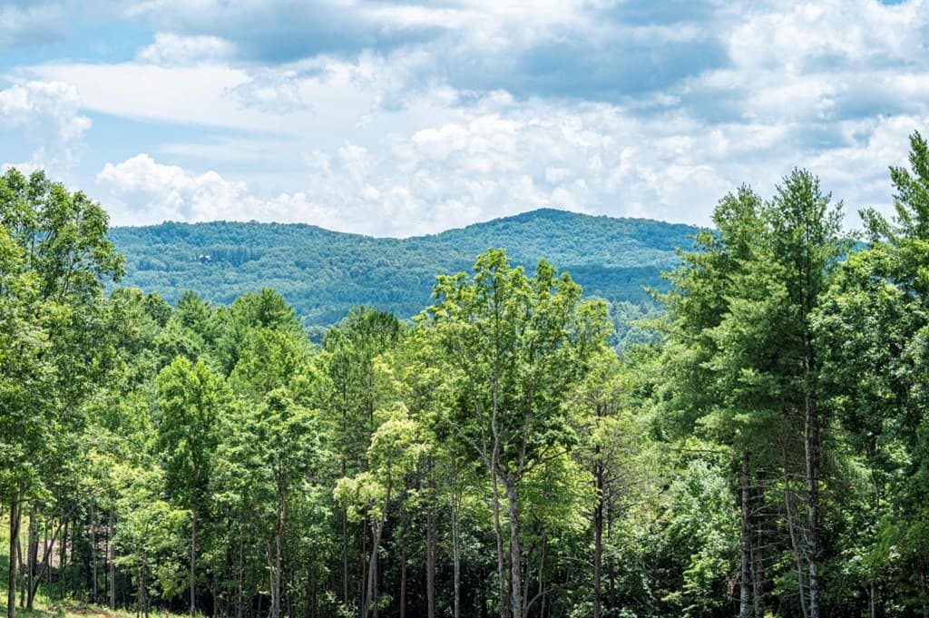 LT 151 The Ridges, Morganton GA 30560 - Photo