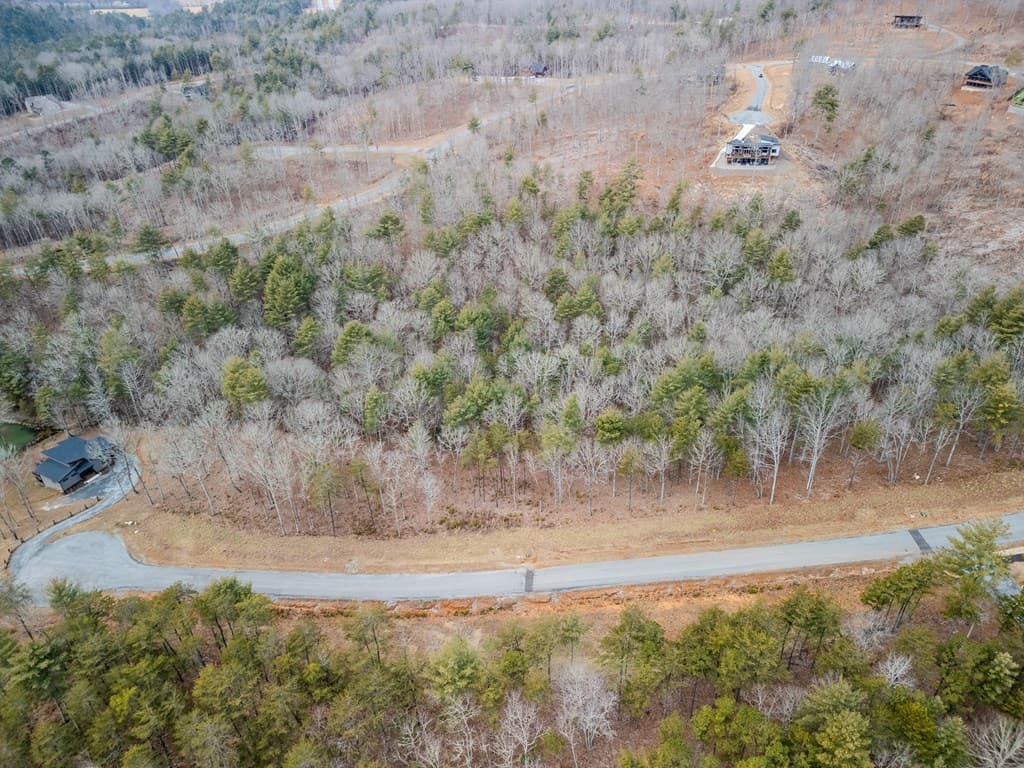 LT 151 The Ridges, Morganton GA 30560 - Photo