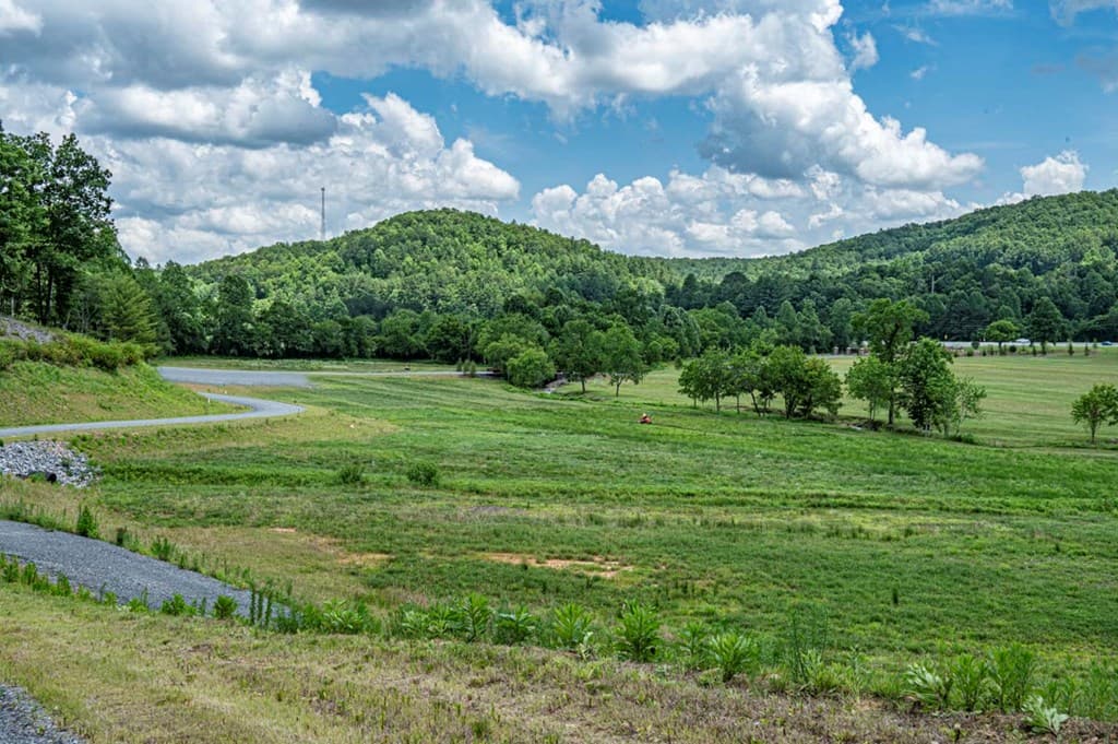 LT 151 The Ridges, Morganton GA 30560 - Photo
