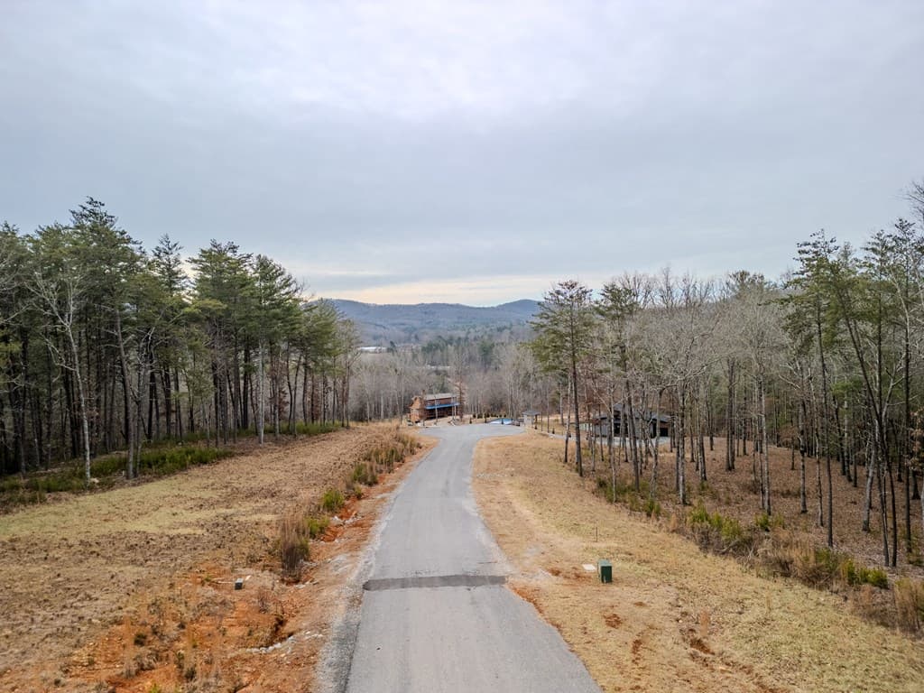 LT 151 The Ridges, Morganton GA 30560 - Photo