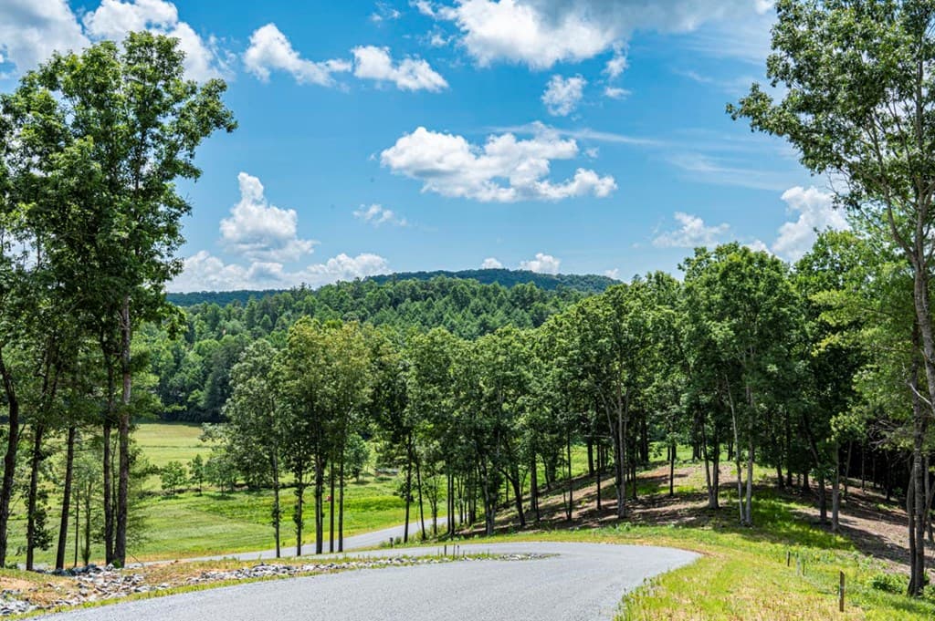 LT 151 The Ridges, Morganton GA 30560 - Photo