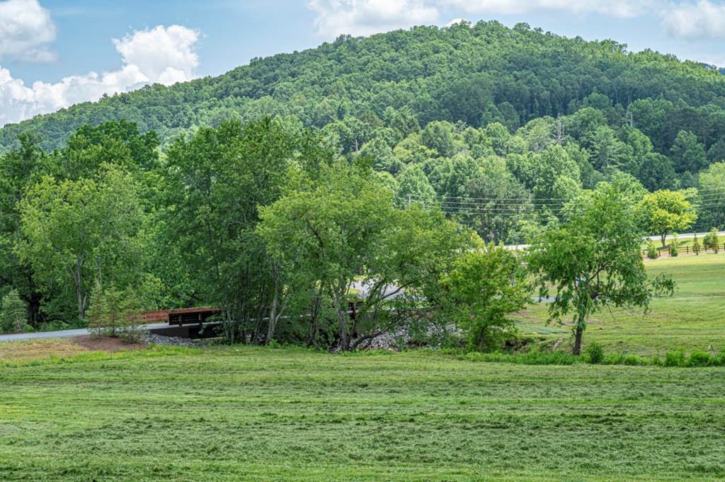 LT 151 The Ridges, Morganton GA 30560 - Photo
