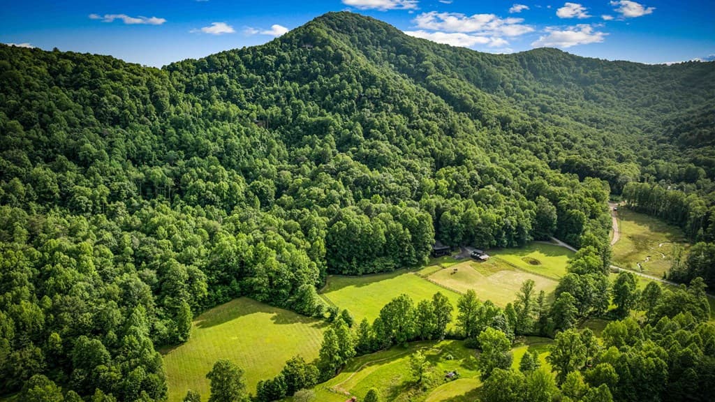 225 Cohutta Ranch Road, Blue Ridge GA 30513 - Photo