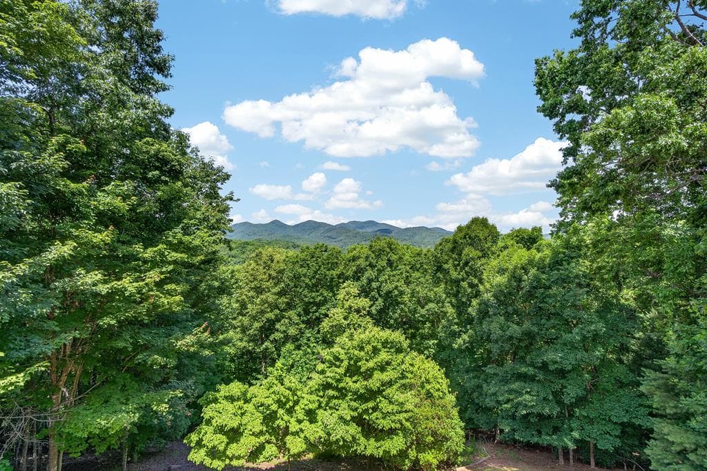 190 The Foothills, Young Harris GA 30582 - Photo