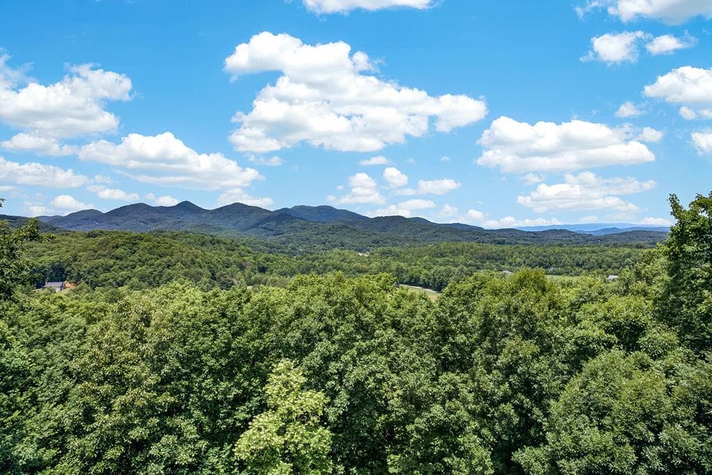 190 The Foothills, Young Harris GA 30582 - Photo