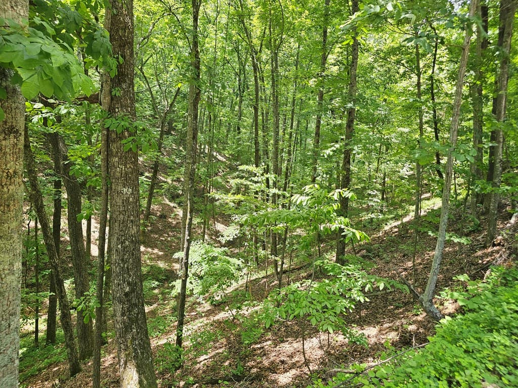 549 NE Myriad Way, Ranger GA 30734 - Photo
